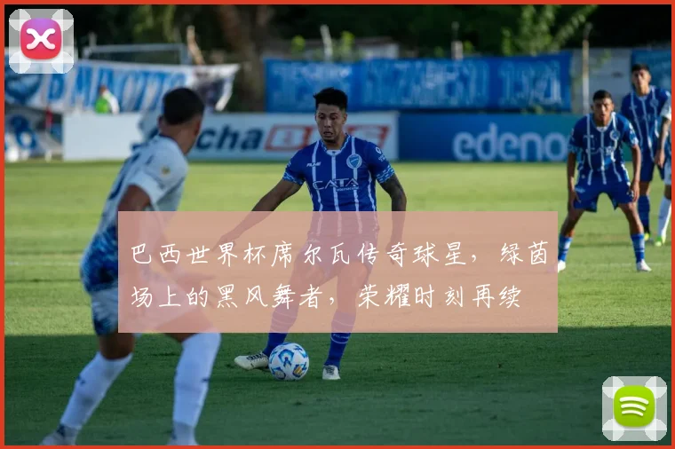 巴西世界杯席尔瓦传奇球星，绿茵场上的黑风舞者，荣耀时刻再续