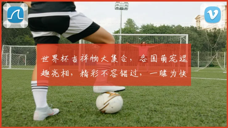 世界杯吉祥物大集合，各国萌宠逗趣亮相，精彩不容错过，一睹为快