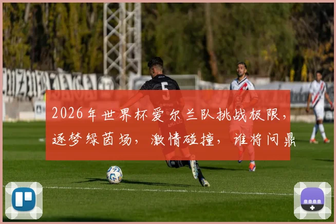 2026年世界杯爱尔兰队挑战极限，逐梦绿茵场，激情碰撞，谁将问鼎